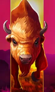 Big Wild Buffalo